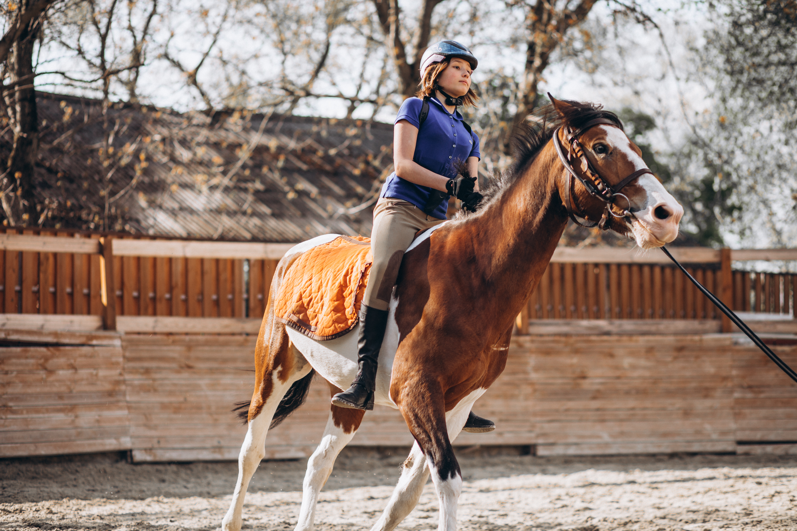 young-girl-teaching-horse-riding.jpg